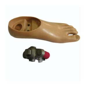Polycentric Double Hole Single Axis Foot