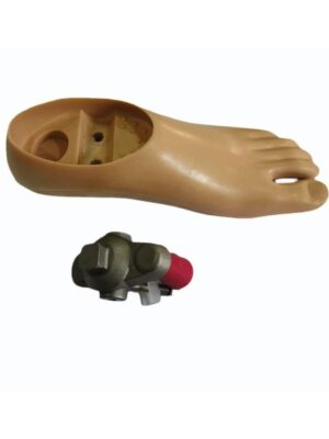 Polycentric Double Hole Single Axis Foot