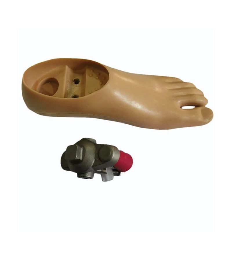 Polycentric Double Hole Single Axis Foot