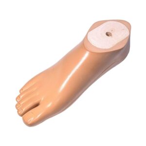 Sach Foot With Plastic keel