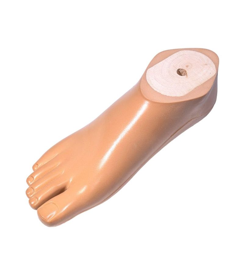 Sach Foot With Plastic keel