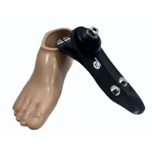 Wings Low Ankle Carbon Foot